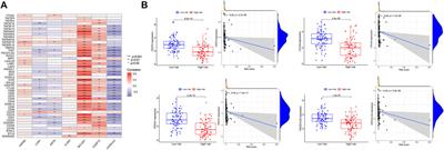 Identification of immune-related signature for the prognosis and benefit of immunotherapy in triple-negative breast cancer